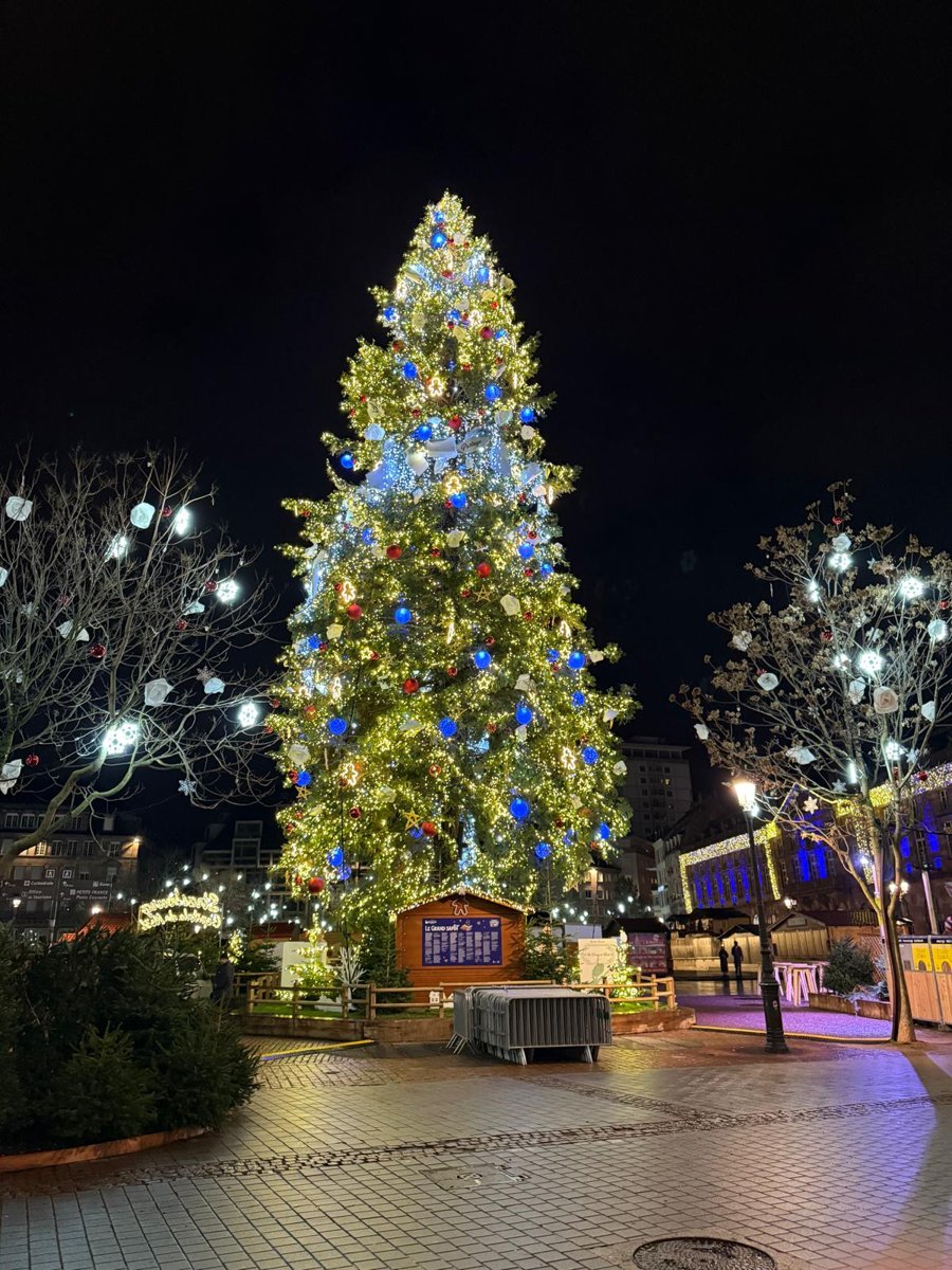 Le grand sapin de Noël illuminé, place Kléber à Strasbourg